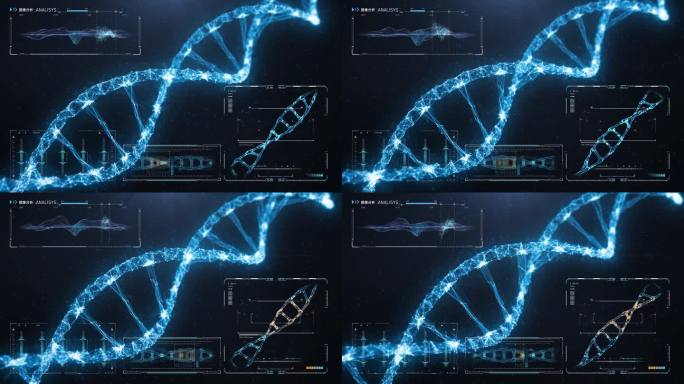 DNA数据分析