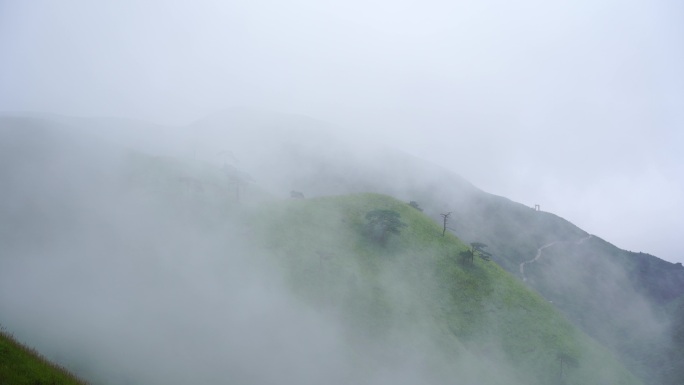 森林云海山峰云雾缭绕雨后树林山林山脉风景