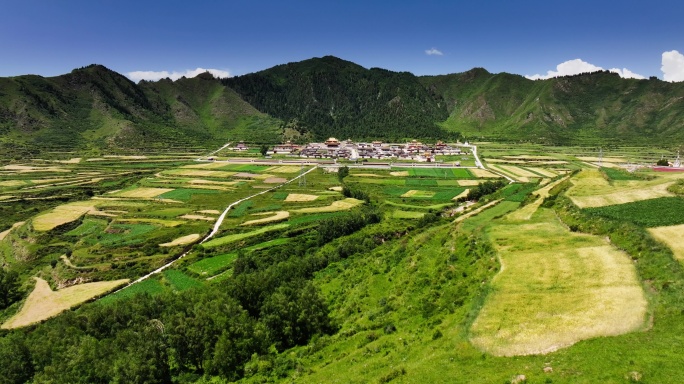 群山下的寺院