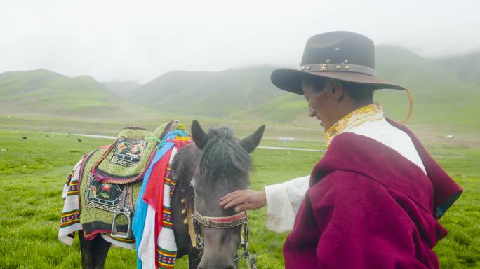 牵马走过草地 牵马穿过湿地 藏族老人