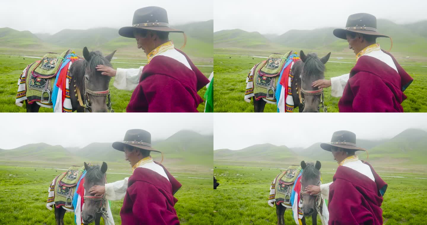 牵马走过草地 牵马穿过湿地 藏族老人