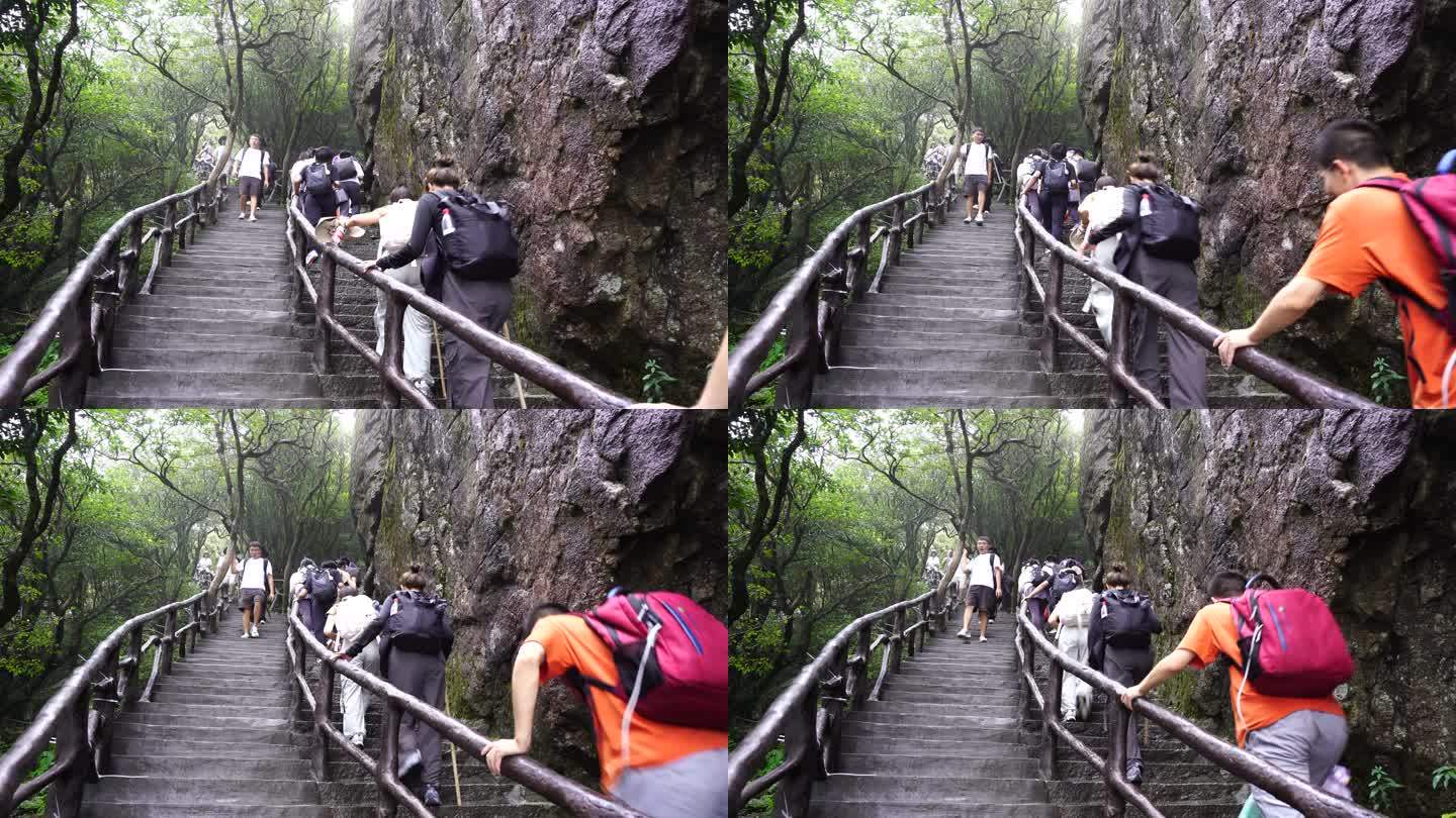 清晨爬山登山上楼梯背影脚步特写森林爬楼梯