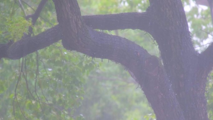 城市下暴雨下雨天雨季汽车人流街道街头车辆