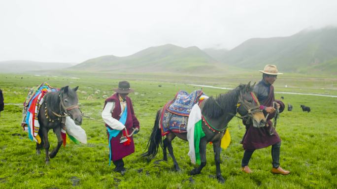 湿地 骑马放牧 自然 牛仔 骑行 大草原