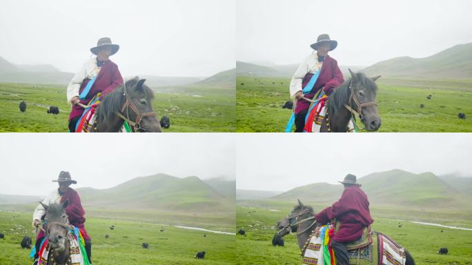 骑马放羊 草原 羊群 内蒙古 西藏藏族