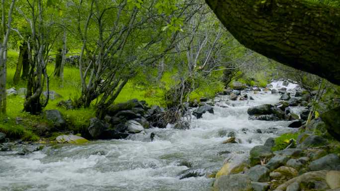 纯净水 原生态天然矿泉水 农夫山泉