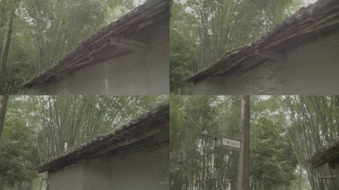 漫步竹林欣赏古老乡村田间风景灰片