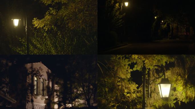 高档小区城市路灯 漆黑的夜晚 安静的街道