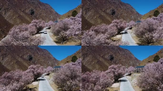 桃花沟 桃花谷 桃花村 山谷山沟山区桃花