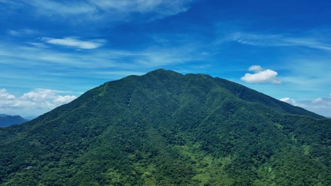 【正版素材】深圳大梧桐山0386