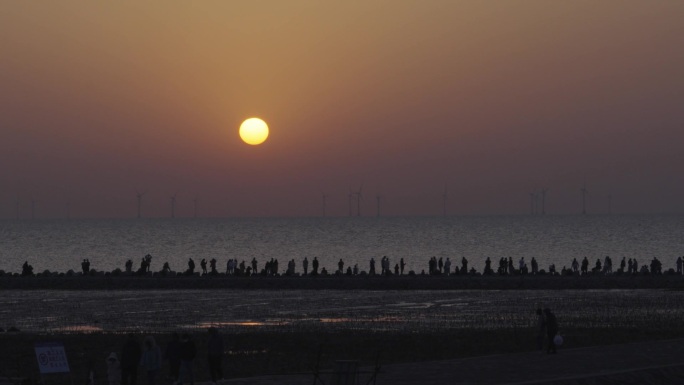 海边日出视频素材 眺望日出人群