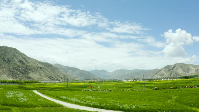 民众祈福 乡村旅游 农业旅游 田间旅游