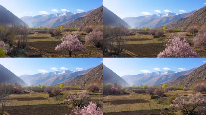 乡村振兴三农 农业 农田田地田土远处雪山