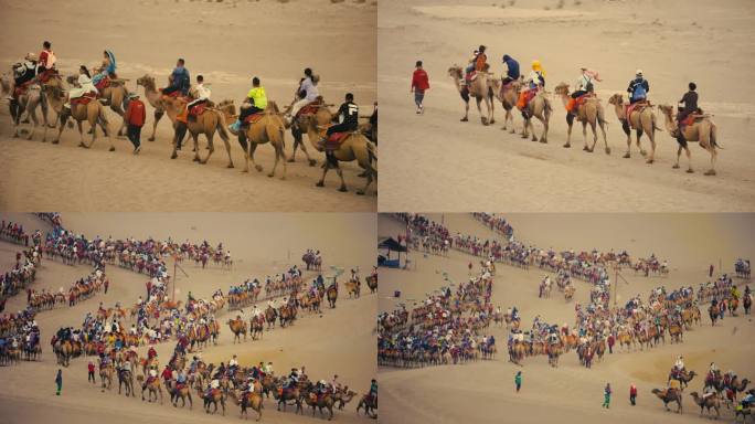 敦煌旅游丝绸之路沙漠骆驼 丝绸之路