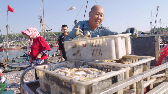 渔民丰收 渔港码头出海捕鱼 开海 丰收