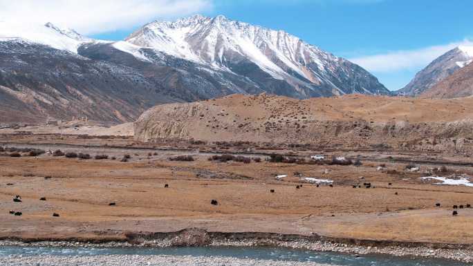 【航拍】西藏雪山下的村庄