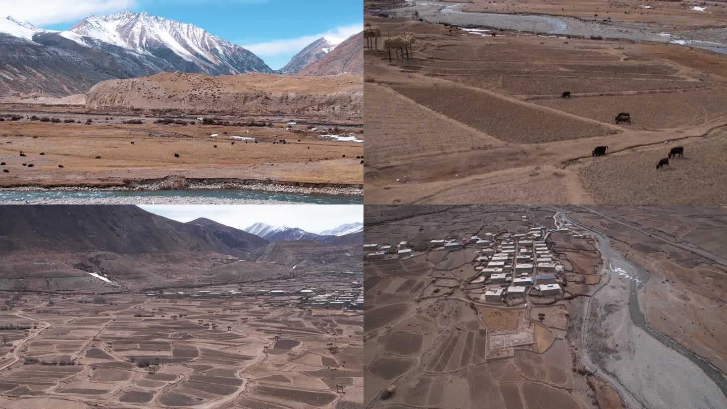 【航拍】西藏雪山下的村庄