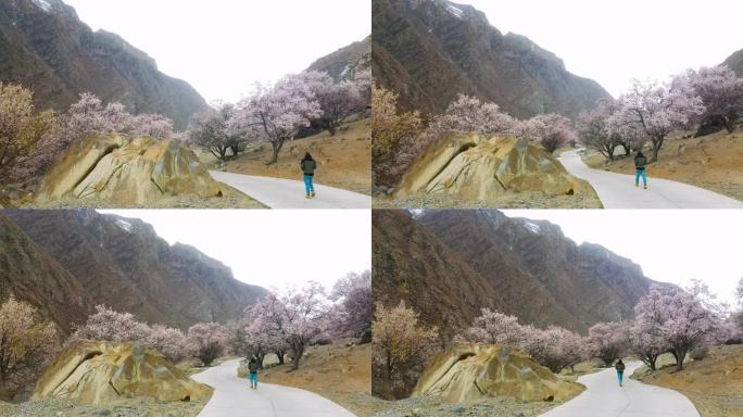 桃花村 山谷 山沟 山区桃花 水泥路