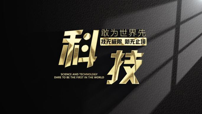 简约大气光影金字logo 定版