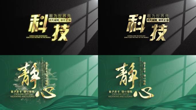 简约大气光影金字logo 定版