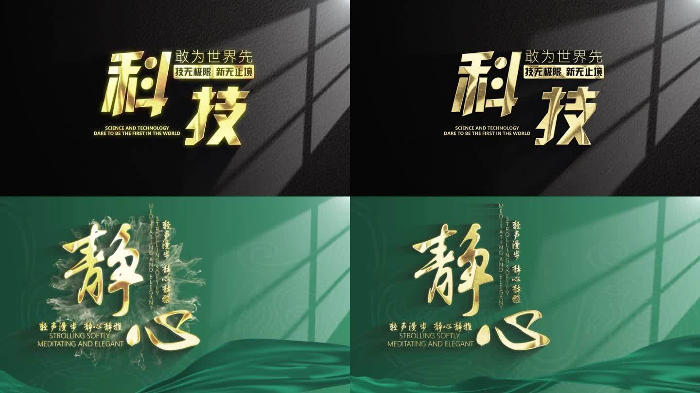 简约大气光影金字logo 定版