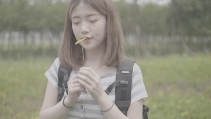 女孩漫步田间欣赏风景闻油菜花野花香灰片