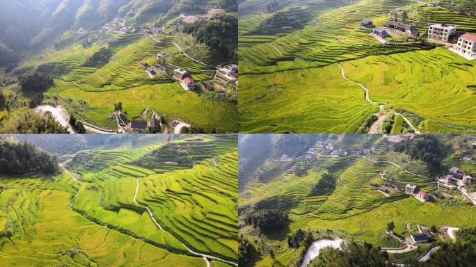 乡村振兴新农村农业山村农田芭蕉山梯田秋景