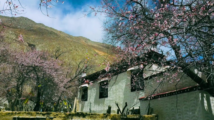 砖房 石头房 藏族房子 农村房子 村庄