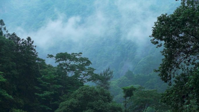 山水实拍