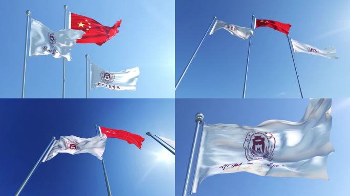 郑州工商学院旗帜