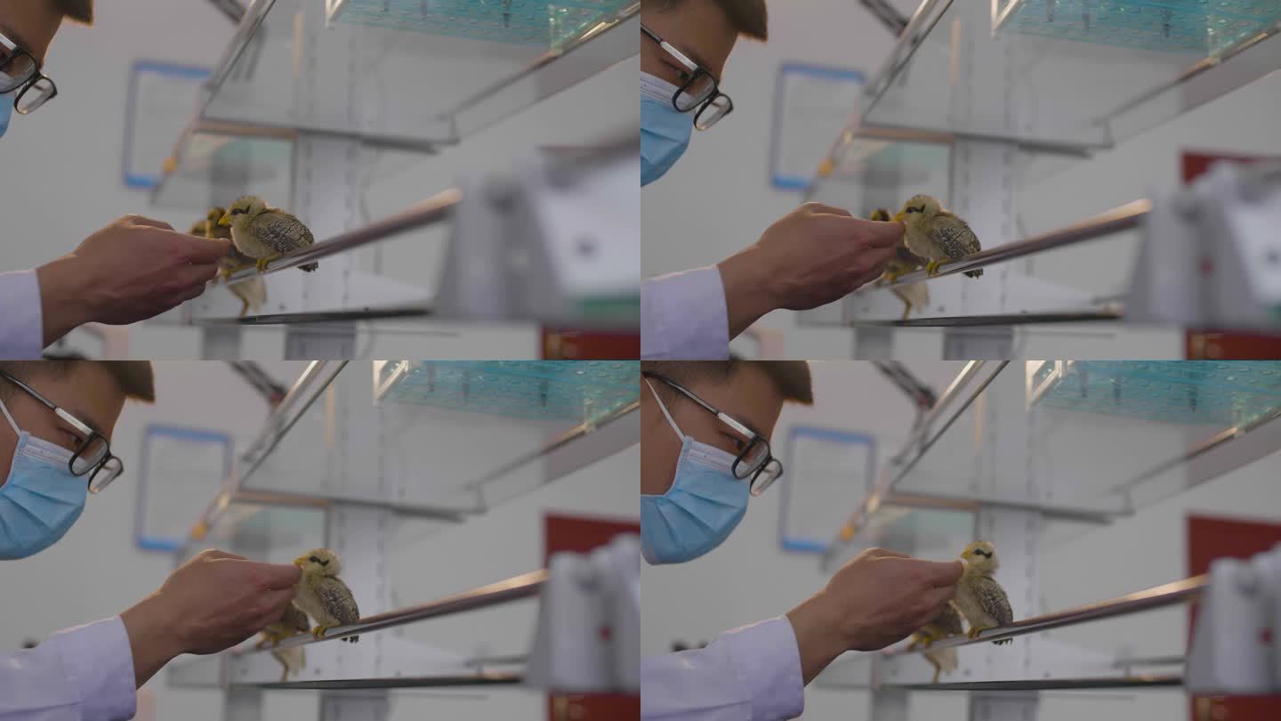 生物科技 禽流感疫苗 猪流感疫苗