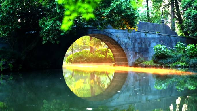 杭州西湖茅家埠金光桥洞自然风景美景宣传片