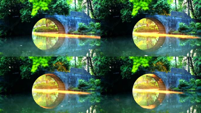 杭州西湖茅家埠金光桥洞自然风景美景宣传片