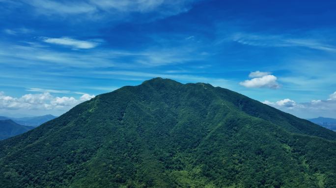 【正版素材】深圳大梧桐山0387