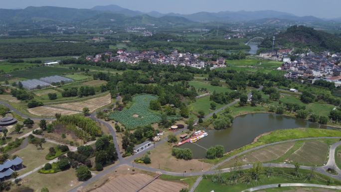 杭州 余杭 径山 花海 中午10