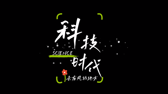 【原创】综艺节目清新花字展示