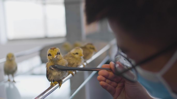 显微镜 生物化学 研究 生物技术