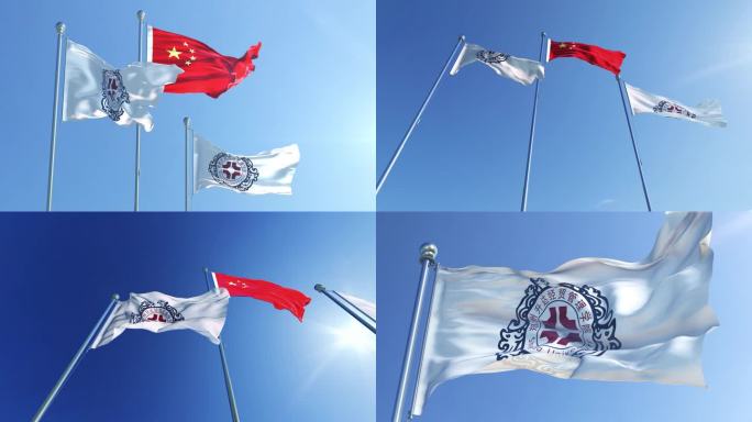 郑州升达经贸管理学院旗帜