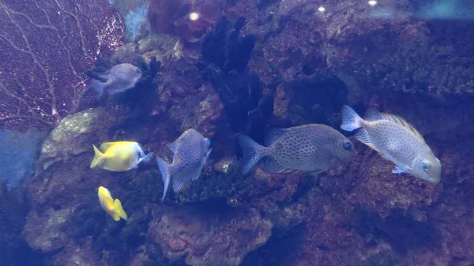 上海动物园里的水族馆