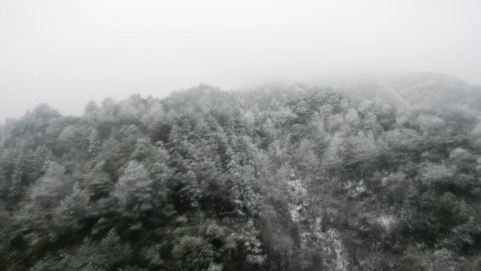 金鼎山雪景