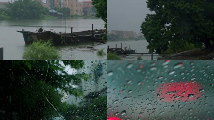 风雨4K视频