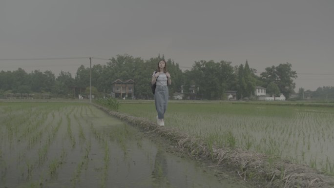 女孩漫步乡村呼吸新鲜空气欣赏秧苗风景灰片