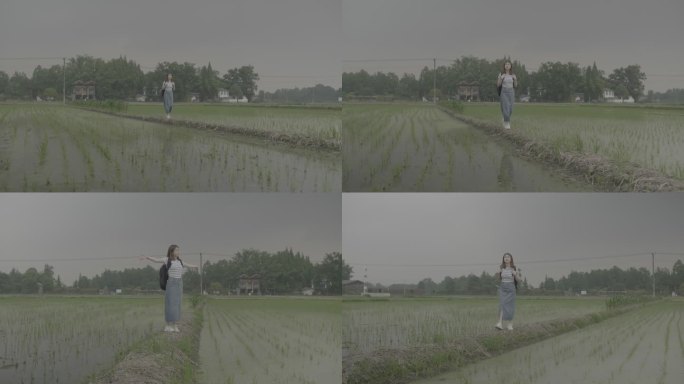 女孩漫步乡村呼吸新鲜空气欣赏秧苗风景灰片