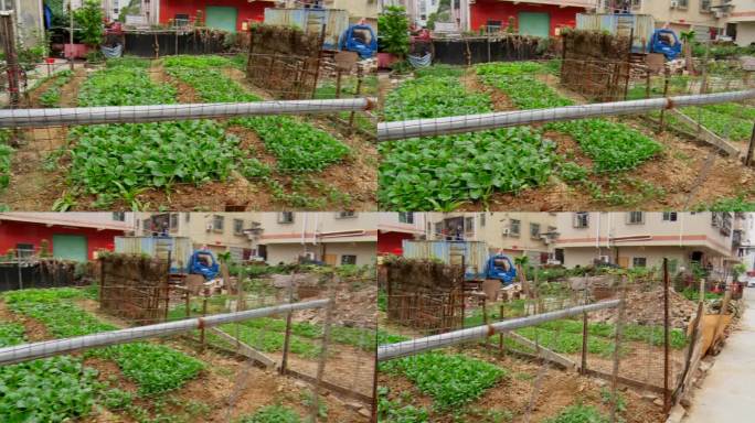 深圳市龙岗区东一村东二村城市更新城市旧改