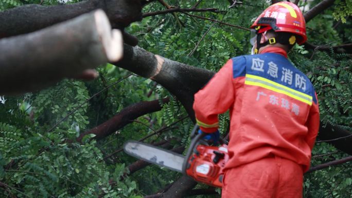 台风消防救援伐树自然灾害广东消防救援