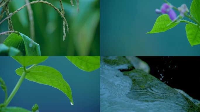 原创 雨天情绪空镜升格镜头