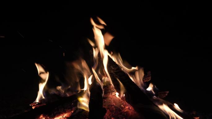篝火、火堆、柴火