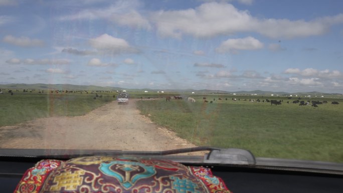 草原汽车行驶蓝天白云牦牛羊群颠簸前挡玻璃
