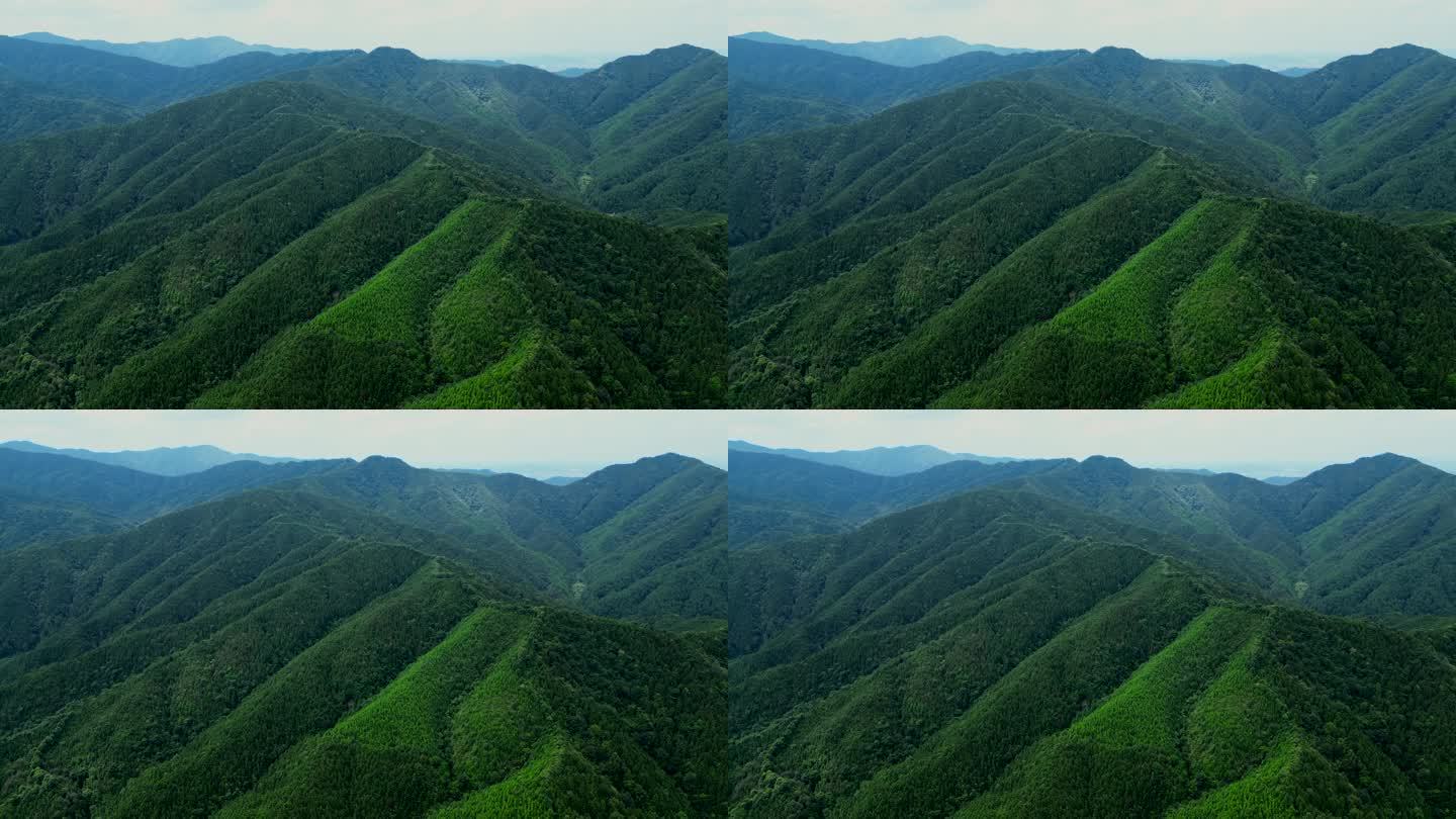 江西山脉山水风景航拍【4K60】