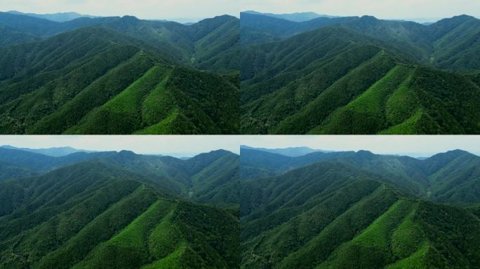 江西山脉山水风景航拍【4K60】